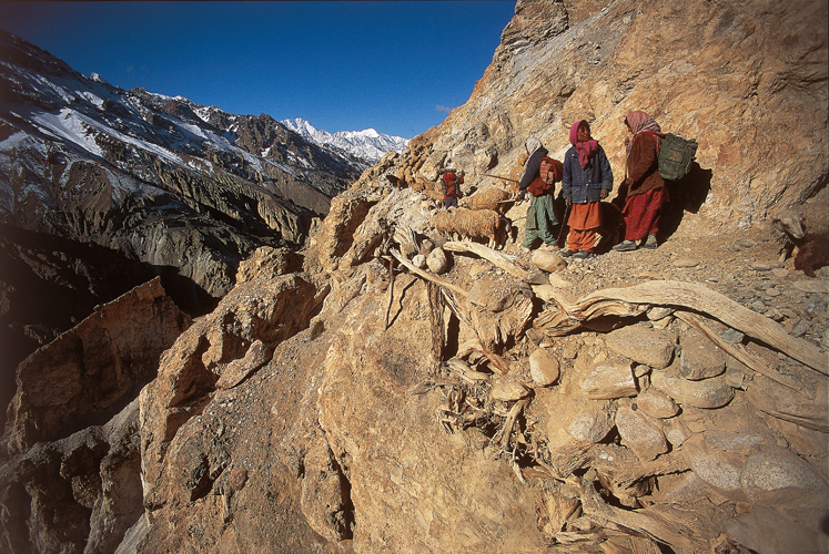 Passage dlicat dans les falaises surplombant le canyon de la rivire Pamir-i-Tang. Les murs de soutnement ont t construits  laide de branches de genvrier.