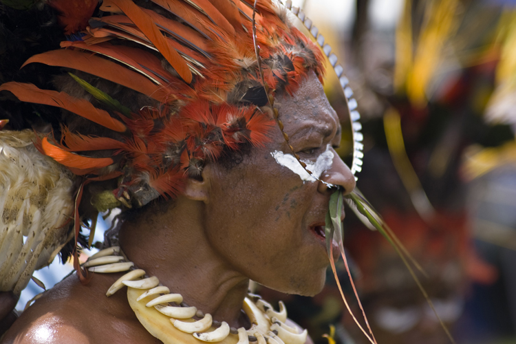 Cette femme de la province de Simbue arbore dans son nez perc une plume de paradisier du Prince Albert.