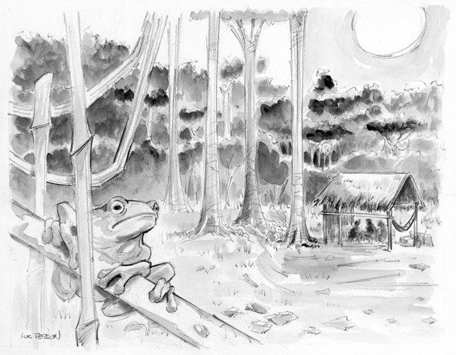 À la nuit, la forêt vibre de tous ses animaux, tels les crapauds-buffles.
