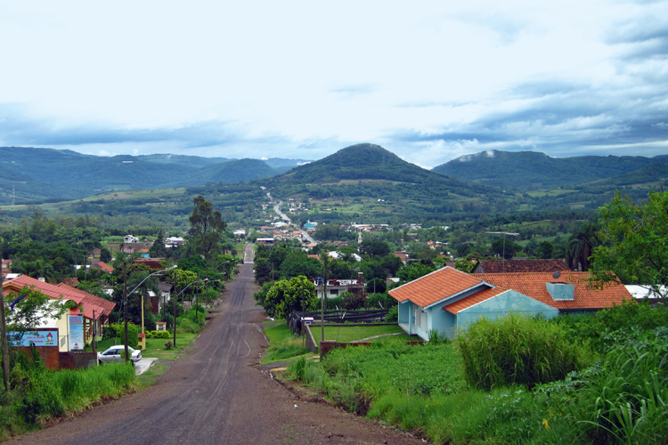 Les palmiers  huile des zones tropicales occupent une place majeure dans lconomie des tats du nord.