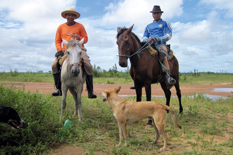 Rencontre de deux vachers sur leur monture partis aux trousses de btes en fuite dans les savanes de ltat dAmap.