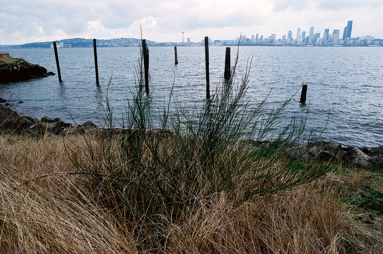 Mars  Phare de ScarlettPoint, au nord de lle Vancouver, face au dtroit de la Reine-Charlotte.