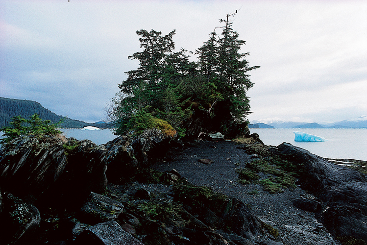 Mai  Icebergs vls par le glacier LeConte  son dbouch dans Frederick Sound.