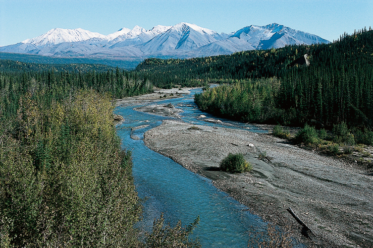 Septembre  Rivire Dillinger, affluent de la branche mridionale du Kuskokwim  hauteur du lac Farewell.