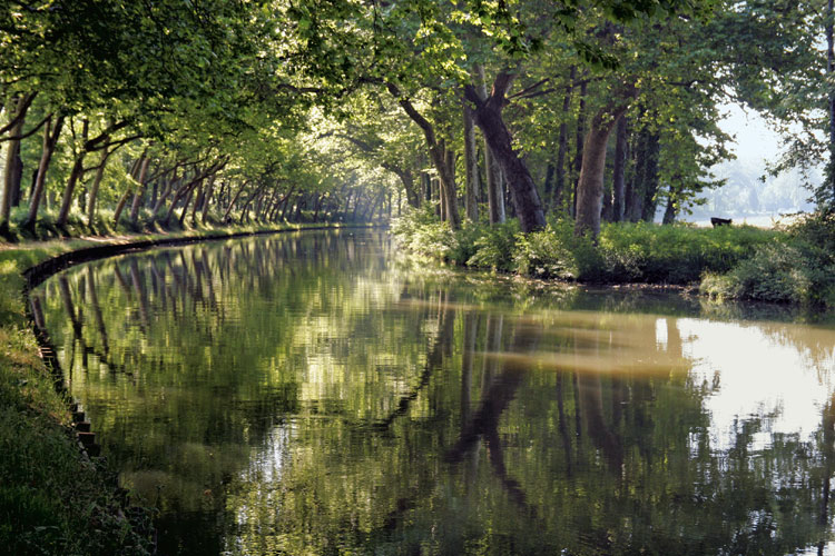 Km 1 288 : le canal du Midi à hauteur de Castelnaudary – Aude.