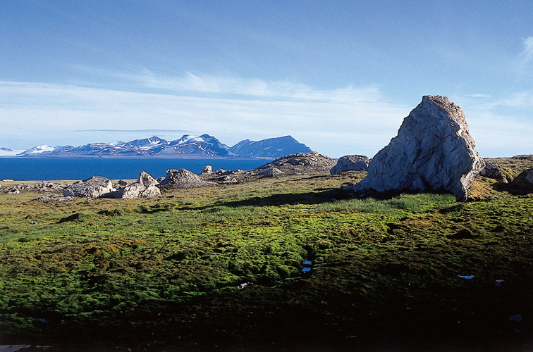 La relative douceur du climat sexplique surtout par les courants temprs de la drive nord-atlantique qui viennent lcher la cte ouest du Spitzberg, puis repoussent la banquise polaire au-del de 80 nord.