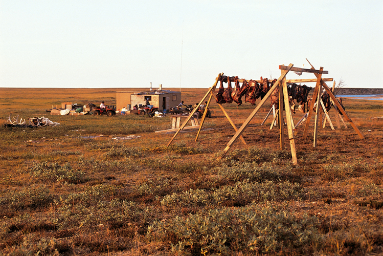 Aot  Camp automnal de chasse dune famille dIupiat, au sud dAtqasuk.