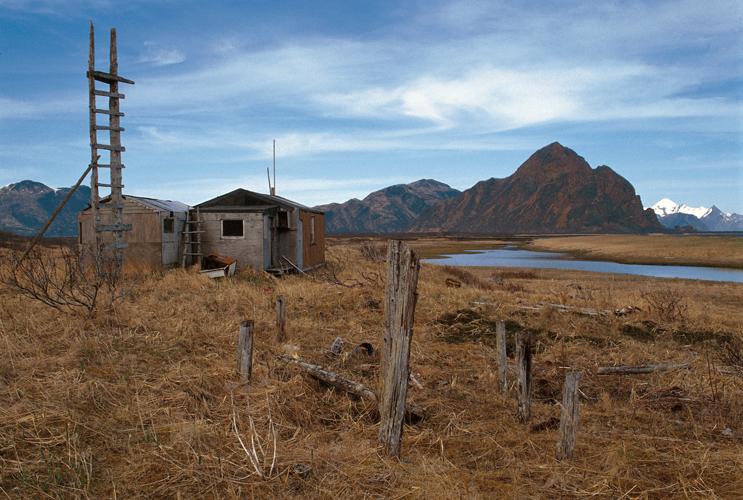 Mai  Cabane de la baie Ivan, en bordure de locan Pacifique.