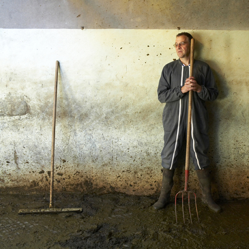 Denis Loquet, production de lait  Plasnes (Lieuvin��).