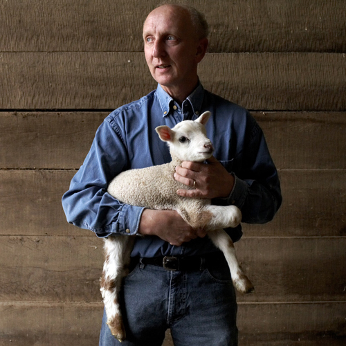 Dominique Jacob, polyculture et levage de moutons  Sacquenville (plateau du Neubourg��).