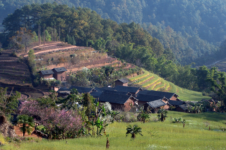 Dans le sud du Yunnan, lhabitat rural est en briques de terre crue. Les ruelles sparant les maisons ne laissent rien prsager des vastes cours intrieures qui abritent lintimit de la famille.