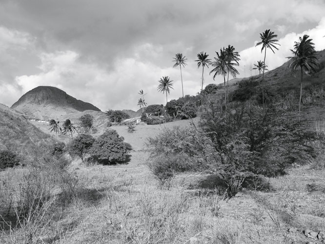 On distingue deux types de surfaces agricoles: les <i>regadios</i>, irrigus, 1800ha ddis moiti  la canne  sucre et moiti aux lgumes verts, manioc ou banane; les <i>sequeiros</i>, qui ne comptent que sur la pluie, 60000ha o lon cultive haricots et mas.