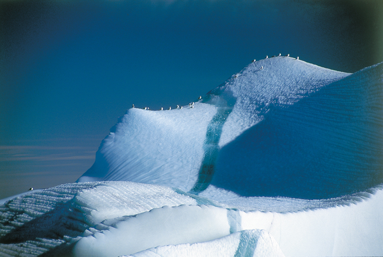 Dans la baie de Baffin, la route d’<i>Ocean Search</i> croise celle des icebergs. La tension nerveuse qu’ils pourraient ajouter à celle de six semaines de veille à la glace est épargnée à l’équipage par une météo exceptionnellement clémente.