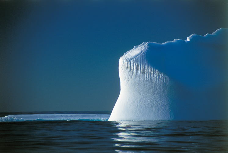 Au moment o nous quittons les impitoyables mers borales, des images de la banquise me reviennent. Je sais dj que je retournerai dans le Grand Nord.