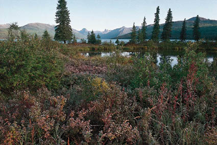 Lac Chelatna, dans la chane de lAlaska.