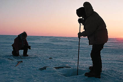 Pêche à la morue arctique sur la banquise de la baie Norton.