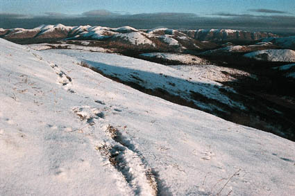 Sources de la Swift, dans les collines d’Anvik.