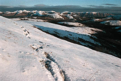 Sources de la Swift, dans les collines dAnvik.