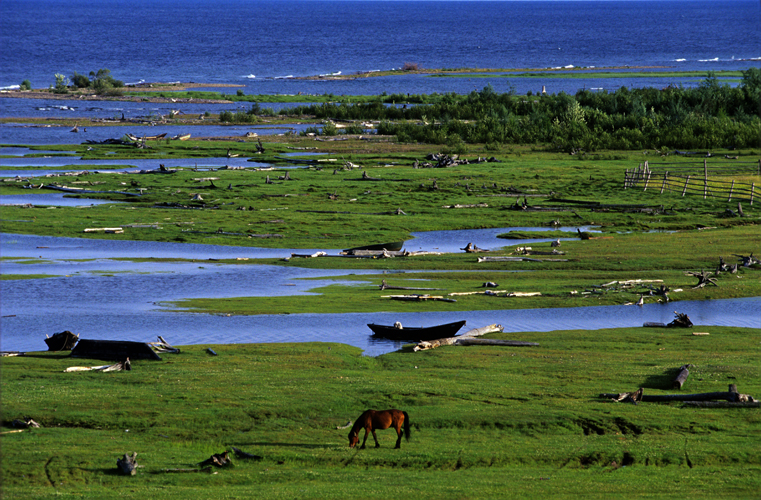 Estuaire marcageux de la rivire Rel.