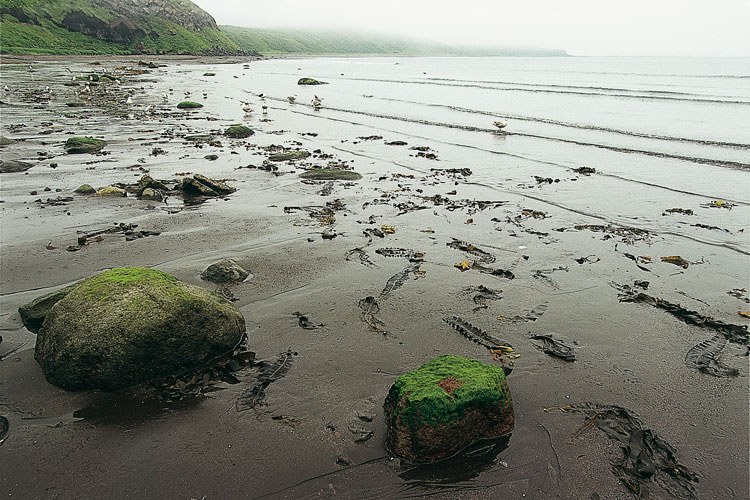 Rivage de la mer de Bring au hameau de Joupanova.