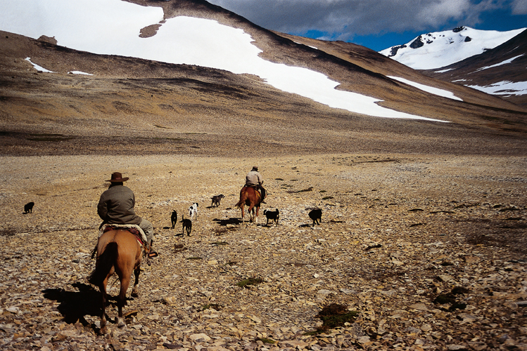 Gauchos en route pour le ro Mayer, qui prend sa source en Argentine dans la <i>meseta</i> de la Muerte et se jette dans le Pacifique au Chili.