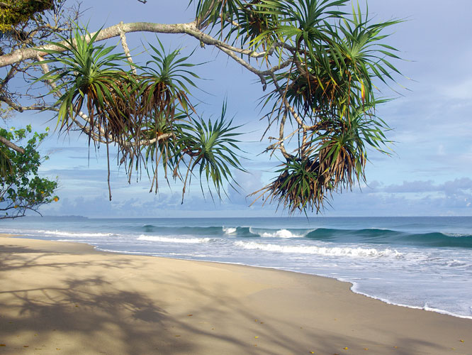 Longue plage dserte de la cte ouest borde de pandanus et de barringtonia.