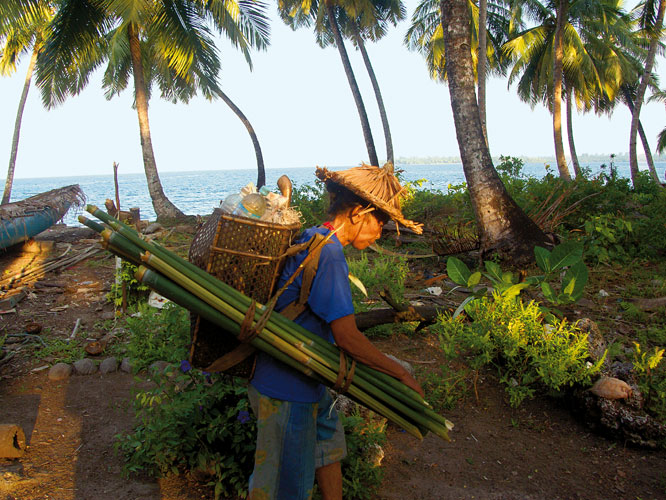 Cette femme cheminant le long dune cocoteraie du littoral nord porte des bambous destins  la cuisson des aliments. Sa hotte et son chapeau sont aussi des produits naturels.