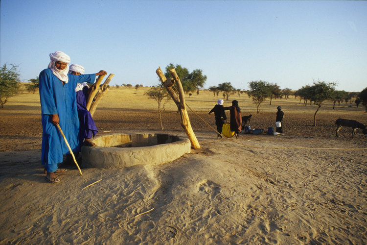 Les fils dEl Hadj Daou  le propritaire touareg du puits  sont  labreuvement avec des leveurs wodaabe du clan kabawa. Leau est  40mtres environ, aussi la tche est-elle rude.