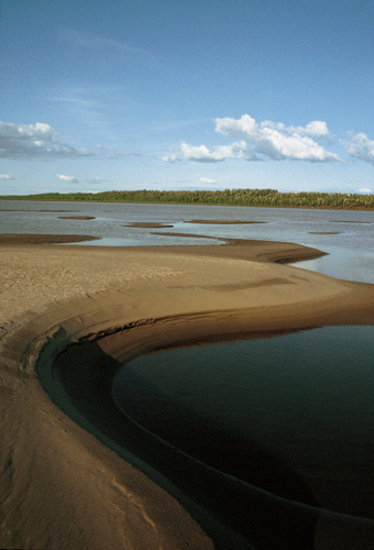 Rive sablonneuse du Yukon.