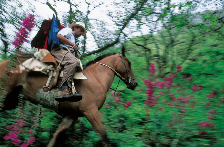 Rémy Rasse, à cheval avec son atelier en Araucanie (Chili).