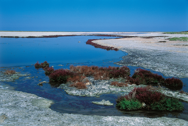 Lagune de Bougoun laisse par le retrait de la mer dAral (delta du Syr-Daria, Kazakhstan).