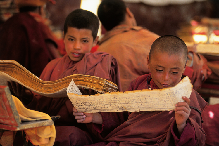 Moinillons psalmodiant  haute voix le <i>Kanjur</i>, texte sacr tibtain (Ladakh).