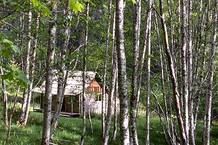 Cabane du parc national Olympic (tat de Washington).