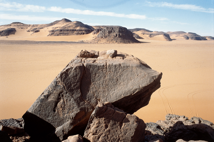 Rhinocros gravs en haut du sous-marin, norme amas rocheux du centre de l<i>eneri</i> (oued) Blaka au Djado (Niger).